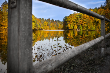 Herbstspiegelung an den Bärenseen bei Stuttgart 1