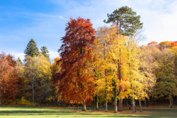 Herbstfarben