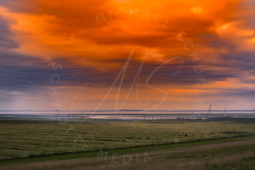 Auf dem Deich - Blick Richtung Hafen Tetenbüll