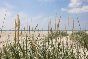 2021-07-24-Strand-Duenen-Moewen-SPO-004