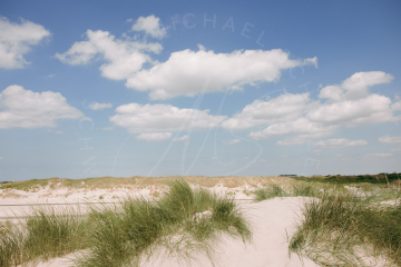 2021-07-24-Strand-Duenen-Moewen-SPO-009