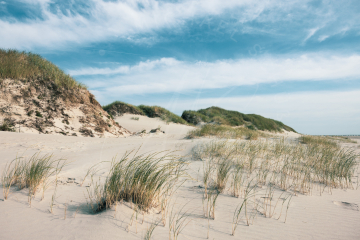 2021-07-24-Strand-Duenen-Moewen-SPO-026