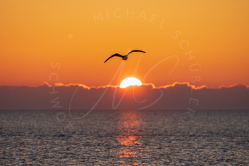 2023-01-21-SPO-Strand-Sonnenuntergang-013-