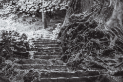 Treppe am Bad Uracher Wasserfall