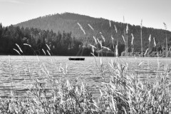 Ein Boot - Talsperre Schwarzenbach