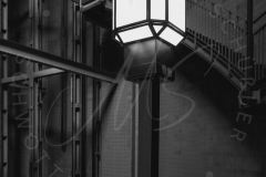 Lichter