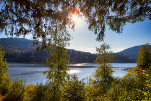 Schwarzwald