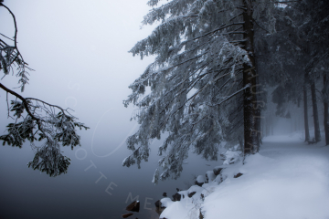 2020-12-02-Mummelsee-Schwarzwald-6