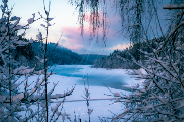 2021-01-15-Schwarzwald-Kniebis-Nagoldtalsperre-41