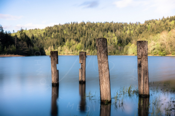 2021-05-16-Kniebis-Nagoldtalsperre-R5-26